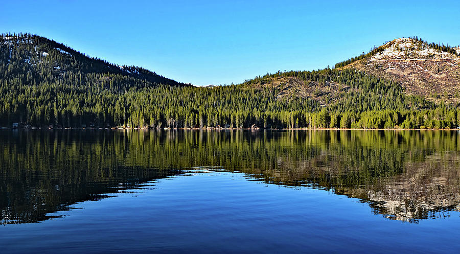 Donner Lake Tree Line Reflections Photograph by Marilyn MacCrakin