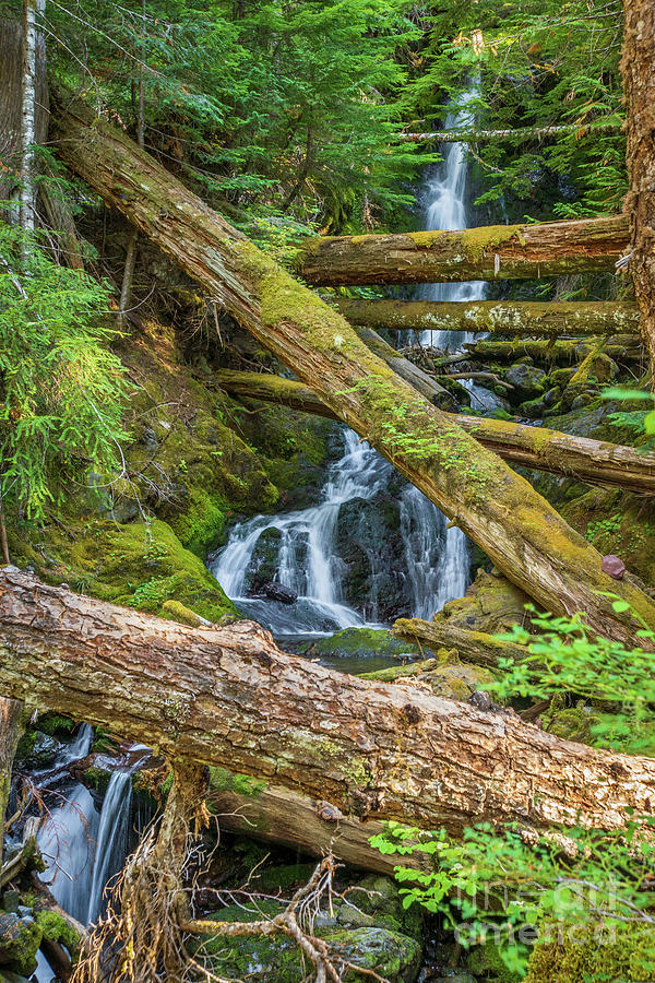 Donohue Creek Falls Photograph by Nancy Gleason