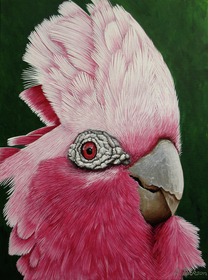 Dont Be A Galah, Stay Home Painting