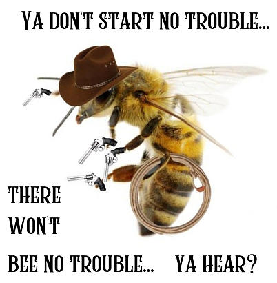 Dont Bee Trouble Photograph by Lee Darnell