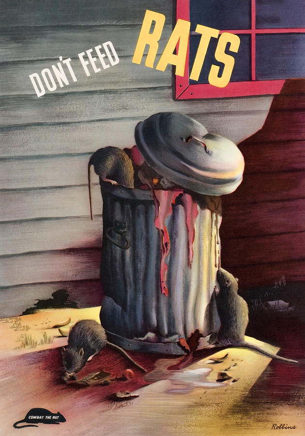 Dont Feed Rats - WW2 Propaganda Painting by War Is Hell Store
