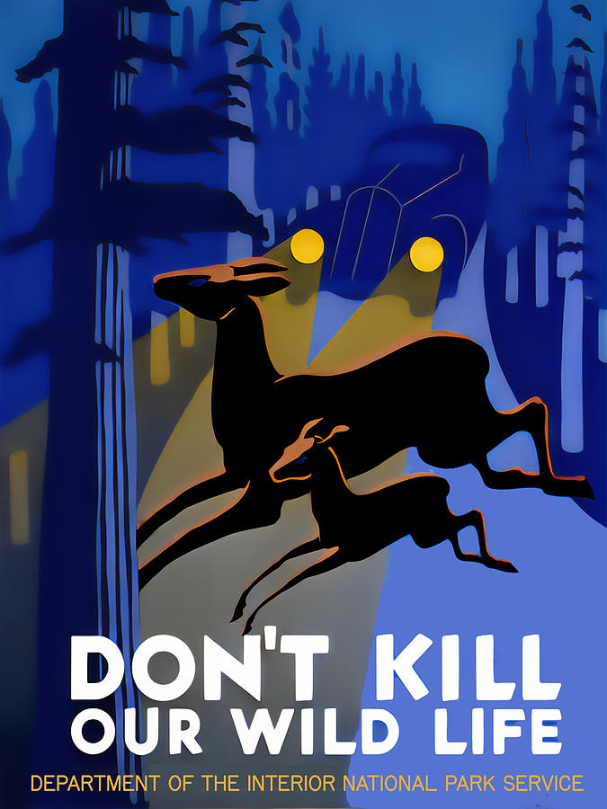 Dont Kill Our Wild Life Digital Art by Chuck Mountain