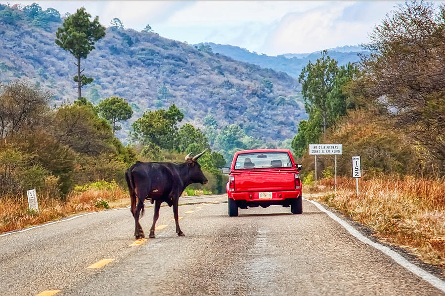 Dont Travel with a Red Car In Mexico  Photograph by Tatiana Travelways