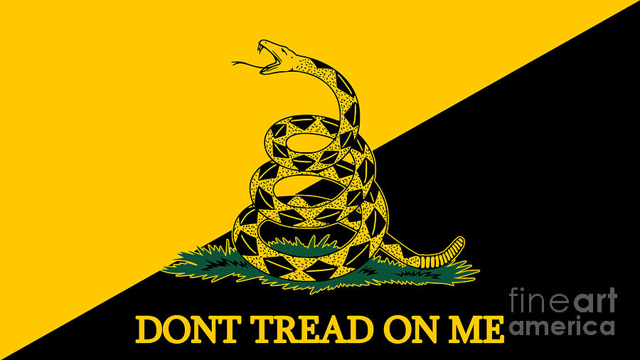 Dont tread on me flag. Photograph by Action