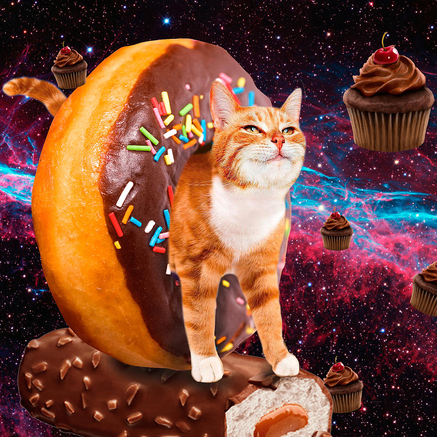 Donut cat - Cupcake cat Digital Art by Johnnie Art - Fine Art America