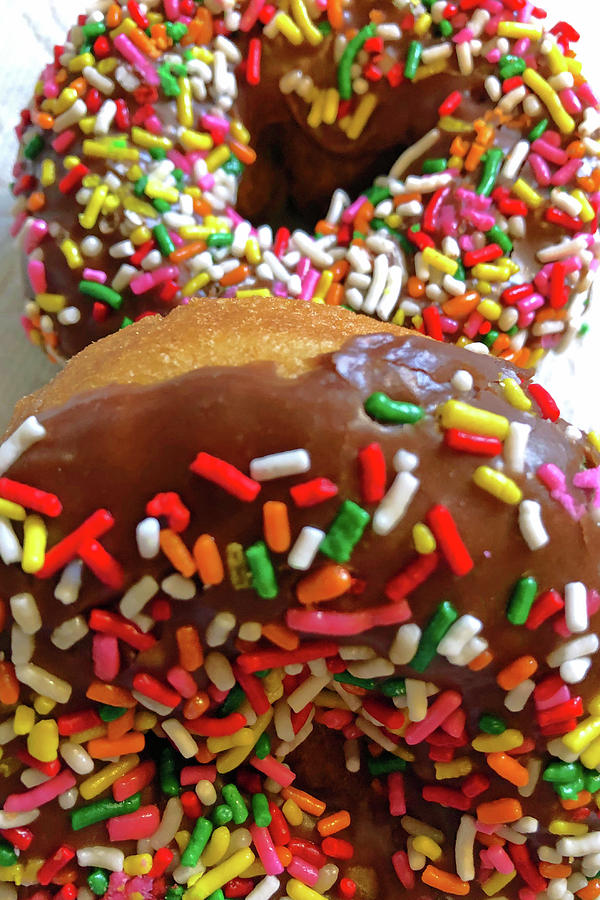 Donut Colors Photograph by Shoal Hollingsworth