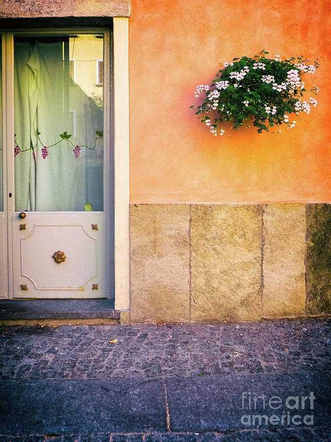 Door and flowers Photograph by Silvia Ganora