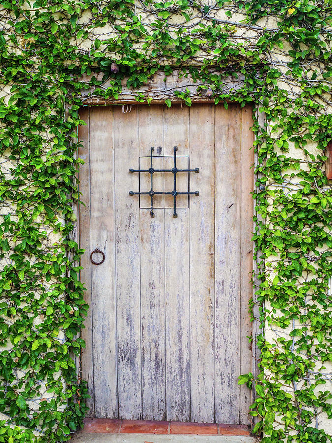 Door and Ivy. Photograph by Rob Huntley