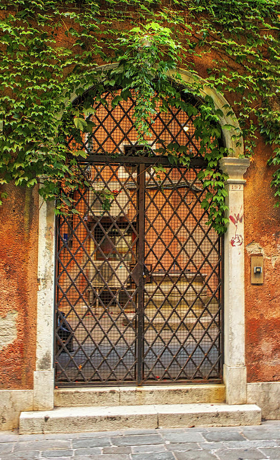 Door in Venice Photograph by Tom Prendergast