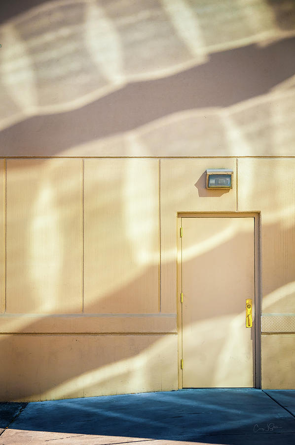 Door Light Photograph by Craig J Satterlee