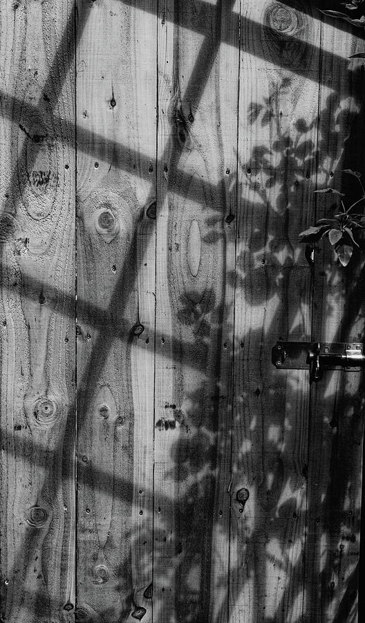 Door Shadow Leaf Monochrome Photograph