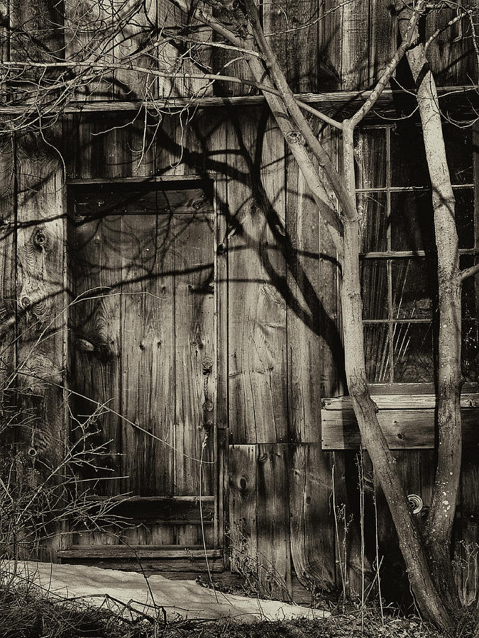Door To Rustic Cabin In Leverett Massachusetts In Winter Photograph