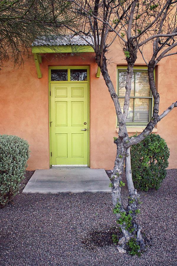 Tucson Photograph - Door, Window and Tree - Barrio Historico - Tucson by Nikolyn McDonald