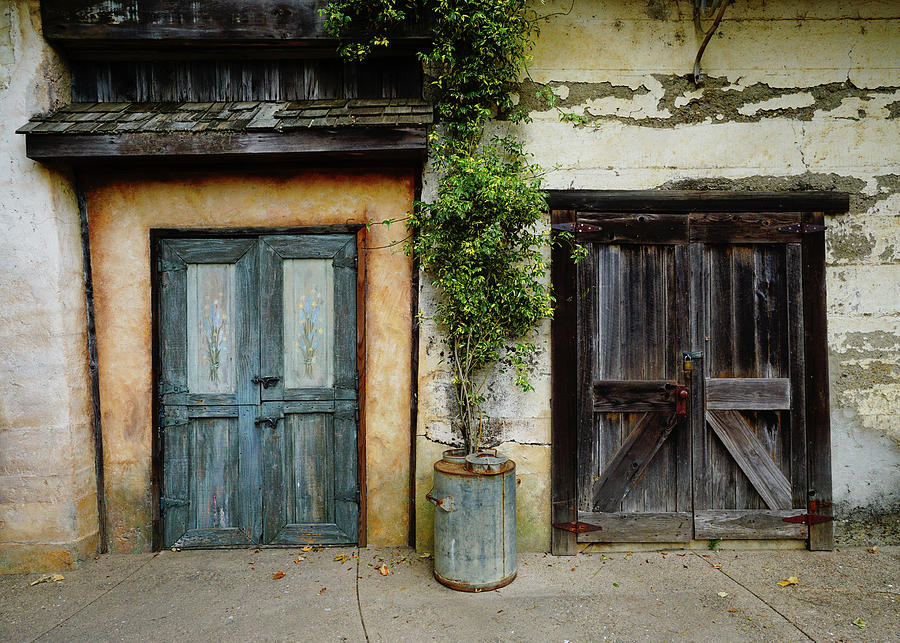 Doors of Harmony Photograph by Brett Harvey