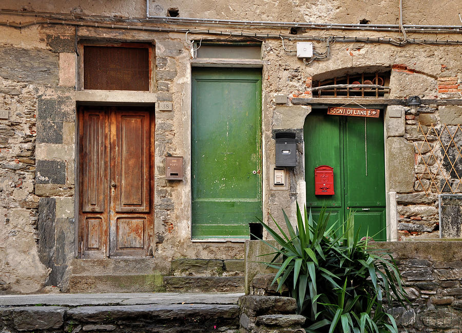 Doors - Vernazza, Italy Photograph by Denise Strahm