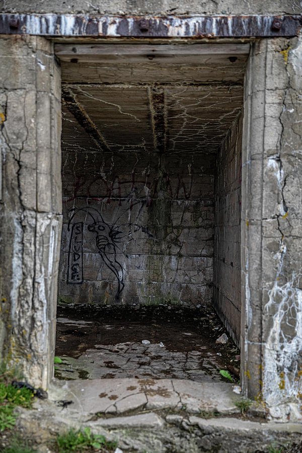 Doorway at Fort Photograph by Denise Kopko