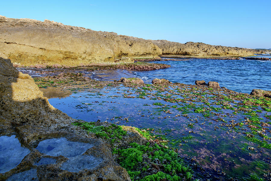 Dor-Habonim seashore reserve Photograph by Dubi Roman