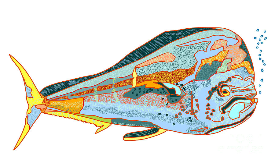Dorado, Mahi-Mahi, Dolphin Fish Digital Art by Robert Yaeger