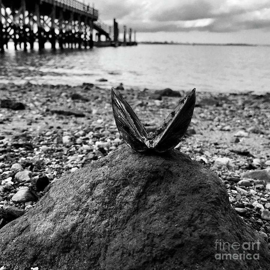 print inblack and white photo view print inblack and white photo view