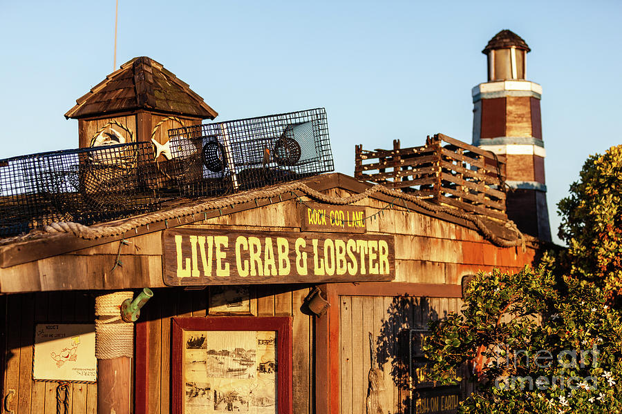 Dory Fishing Fleet Live Crab and Lobster Sign Photo Photograph by Paul Velgos