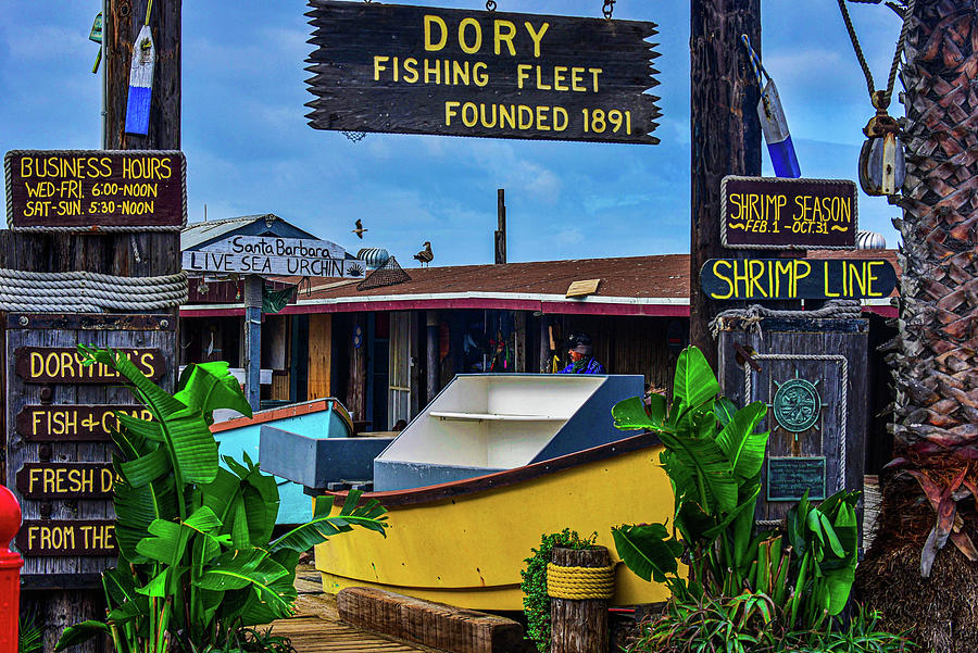 Dory Fishing Fleet Photograph by Tori M Bird - Fine Art America