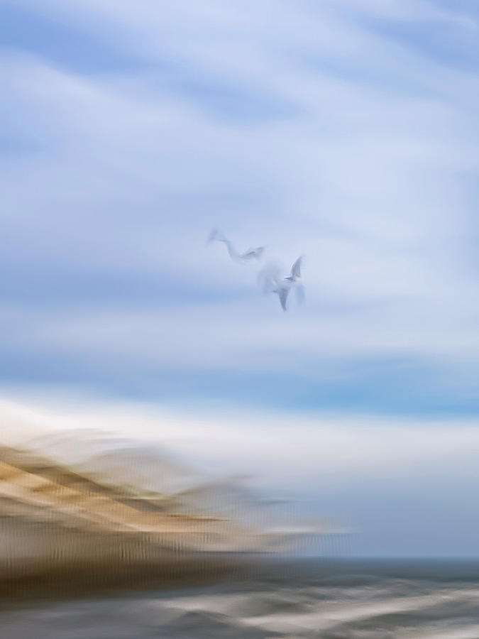 Dos y dos Photograph by Kelly Farmer Fine Art America Dos y dos Photograph by Kelly Farmer Fine Art America