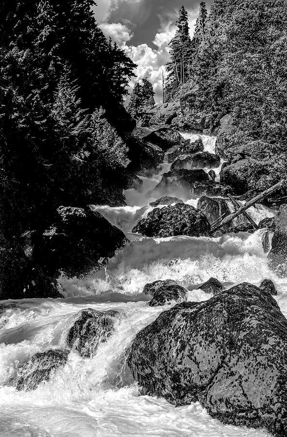 Dosewallips Falls 1974 Photograph