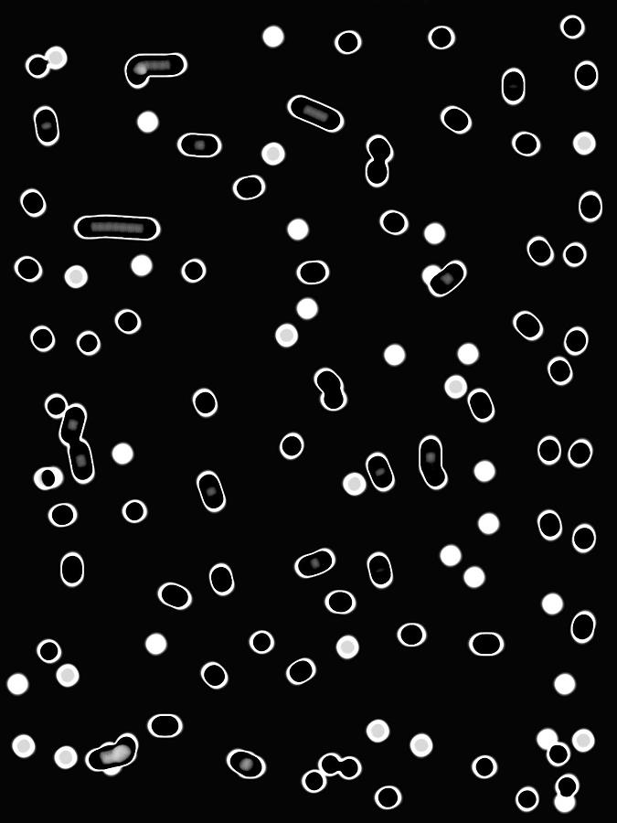 Dot dash Digital Art by Greg Powell Fine Art America