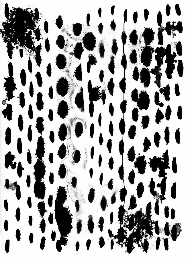 Dots and Dashes Drawing by Blenda Studio