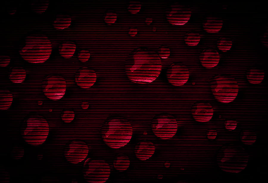 dots-dark-red-photograph-by-lyndee-miller-is-fierce-ambition-imagery