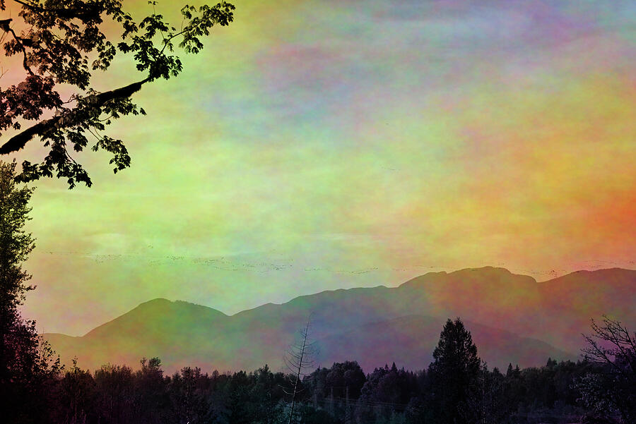 Dots of Migrating Geese over the Mountains - plasma colour overlay Photograph by Katherine Nutt