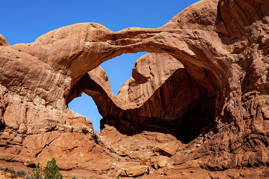 Double Arch in Arches National Park Photograph by Ed Clark
