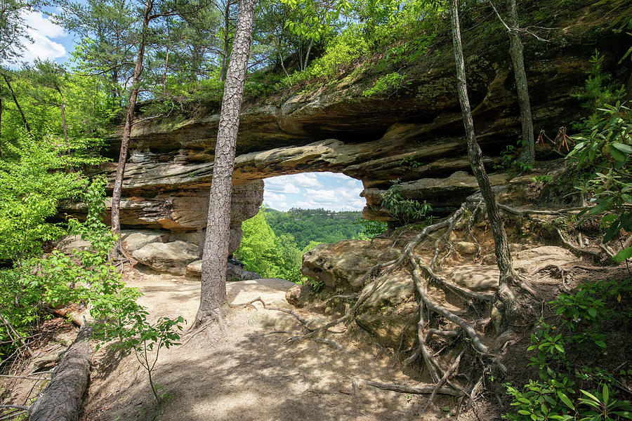 Double Arch Looking Towards Auxier Ridge in in Red River Gorge Photograph by Nedim Slijepcevic