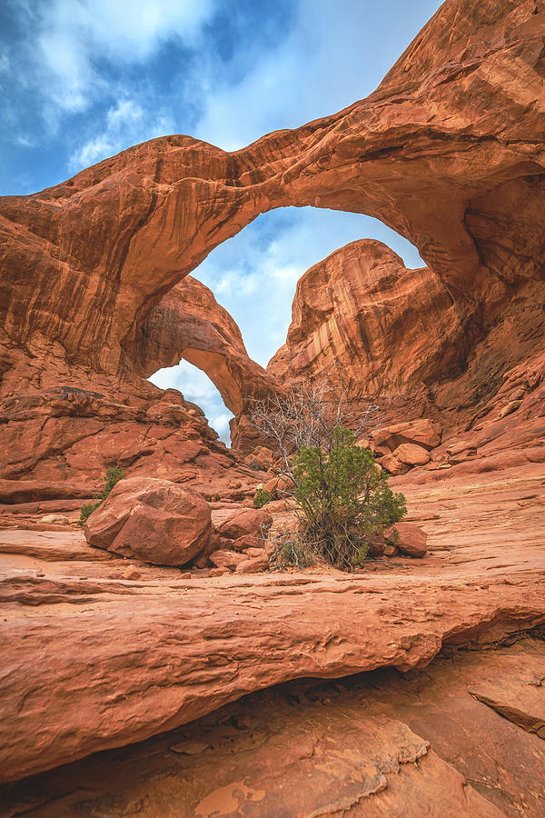 Double Arch Morning Photograph by Christopher Thomas