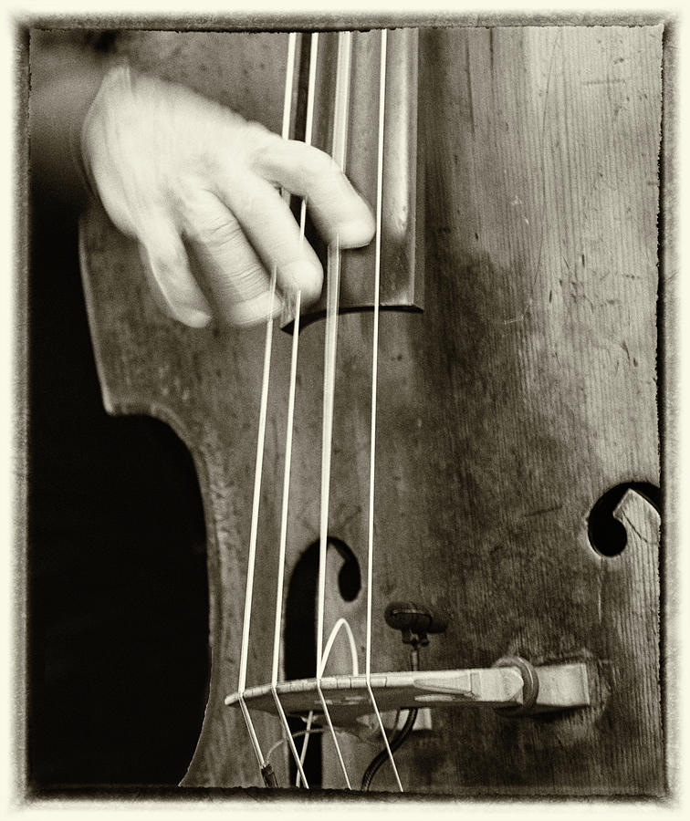 Double bass Photograph by Jean-Pierre Ducondi