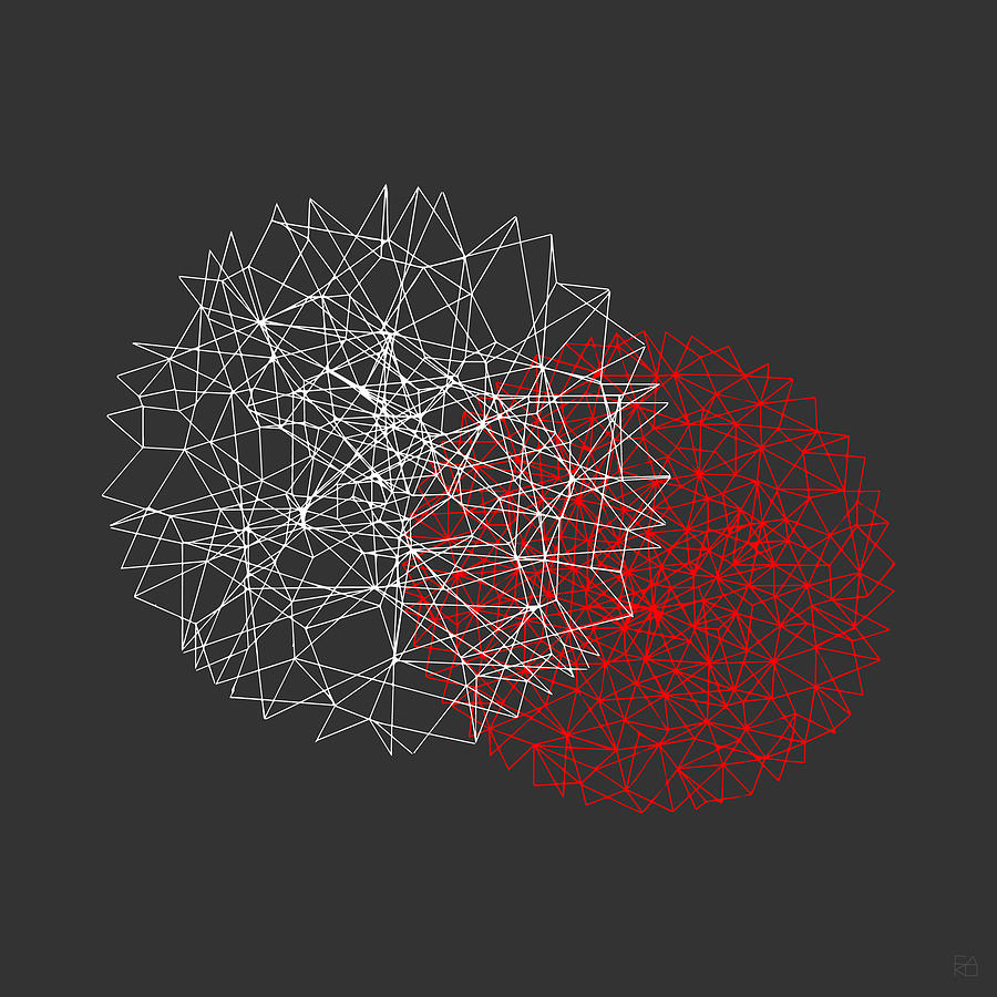 Network Digital Art - Double Circular Network 1 by Carolina Reis