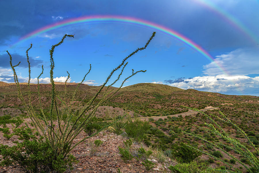 Double Desert Rainbow Photograph by Erin K Images