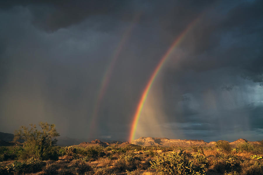 Double Desert Rainbows  Photograph by Saija Lehtonen