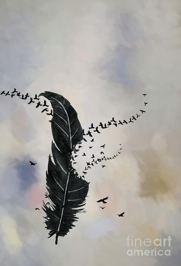 Feather Still Life Digital Art - Feather Crows by Jim Hatch