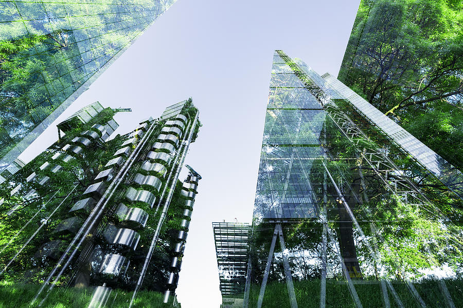 Double exposure of trees and buildings Photograph by Shomos Uddin