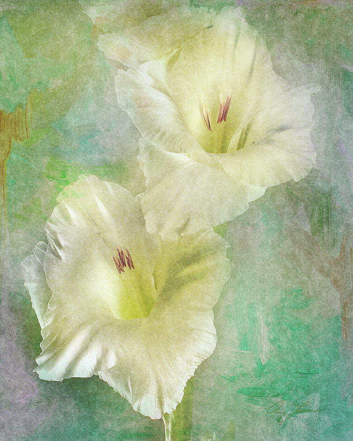 Double Glad by Ann Lauwers Double Glad by Ann Lauwers