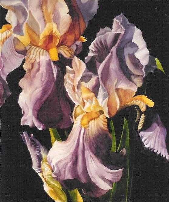 Double Irises Painting by Alfred Ng