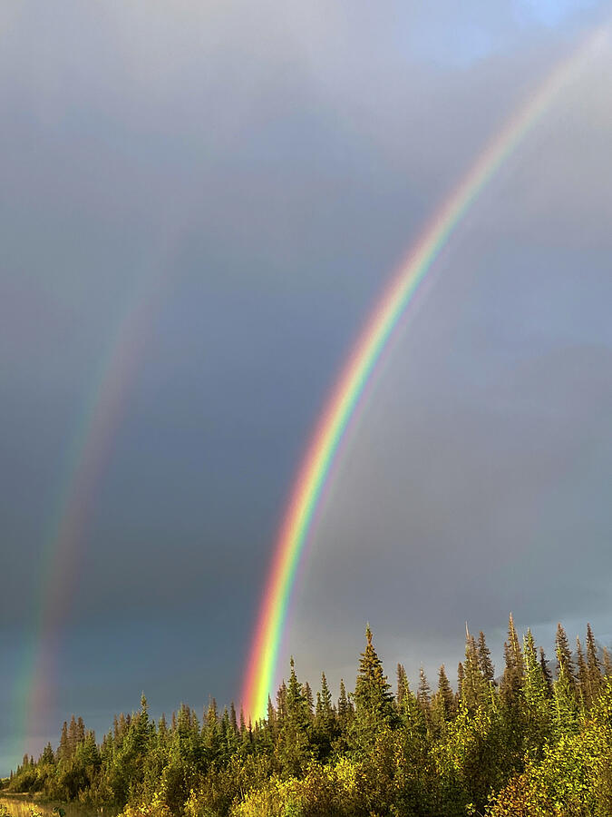 Double Rainbow Photograph by Harry Banks Double Rainbow Photograph by Harry Banks
