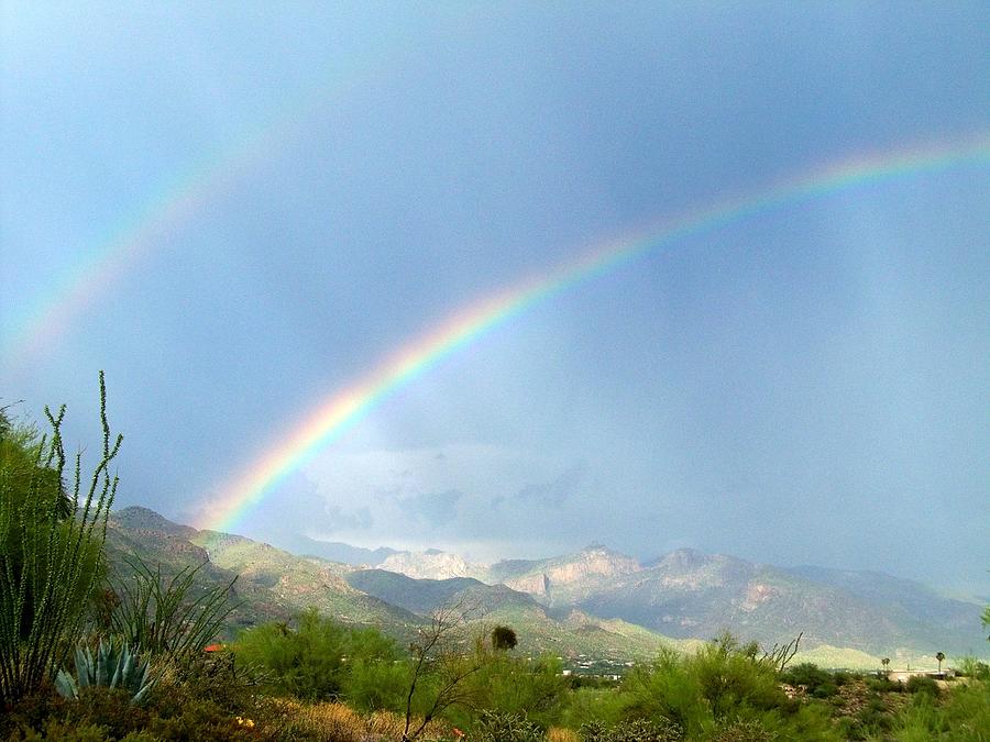 Double Rainbow in the Old Pueblo Photograph by Adrienne Wilson