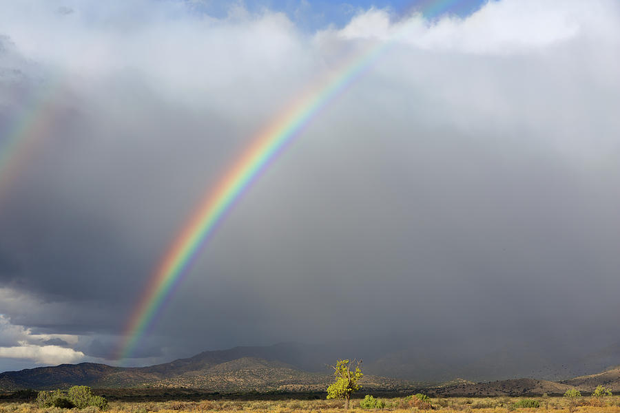 Double Rainbow over Southern New Mexico  Photograph by Kathleen Bishop
