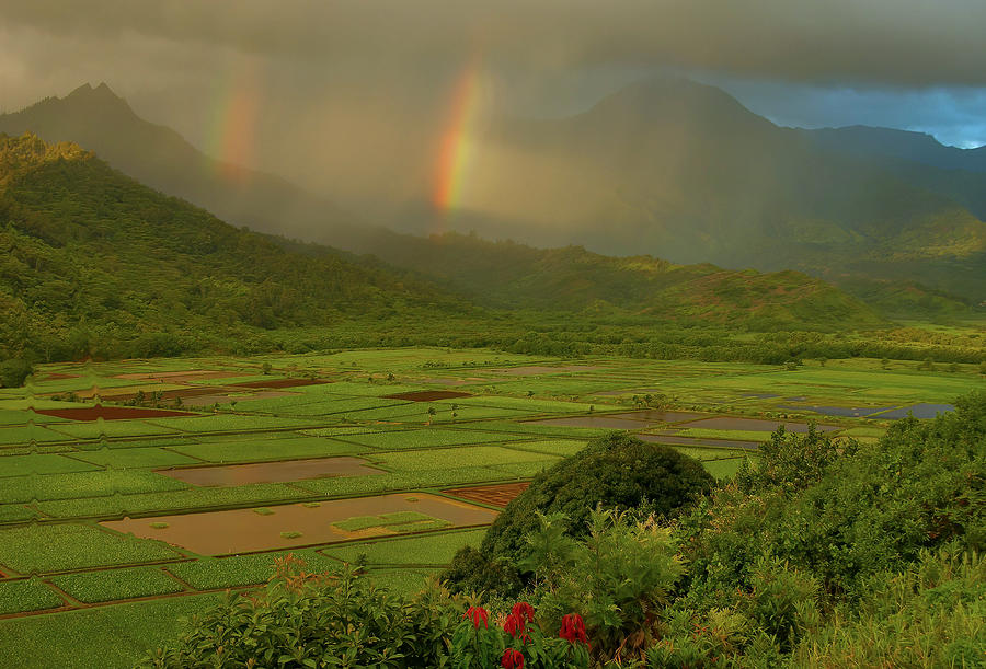 Double Rainbows - Hanalei Valley Photograph by Stephen Vecchiotti