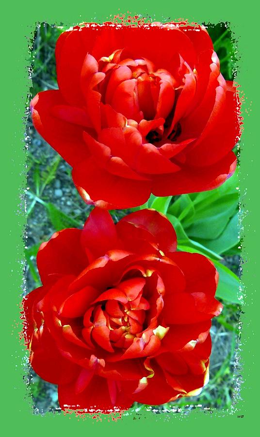 Double Red Tulip Duo Mixed Media by Will Borden