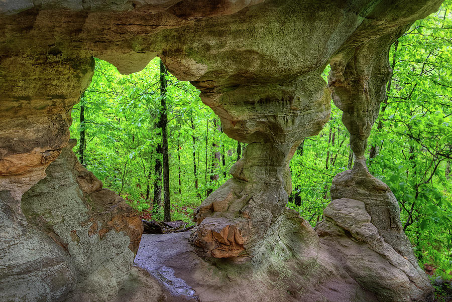 Double Sandstone Arch Photograph by Robert Charity
