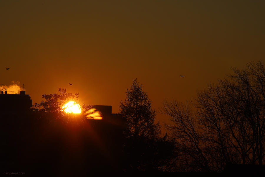 Double Sun at Daybreak with Soaring Birds February 21 2021 Photograph by Miriam A Kilmer