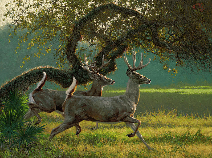 Deer Painting - Double Vision by Greg Beecham